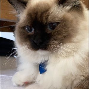 Meet your Posher, Dylan